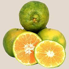 Fresh Orange